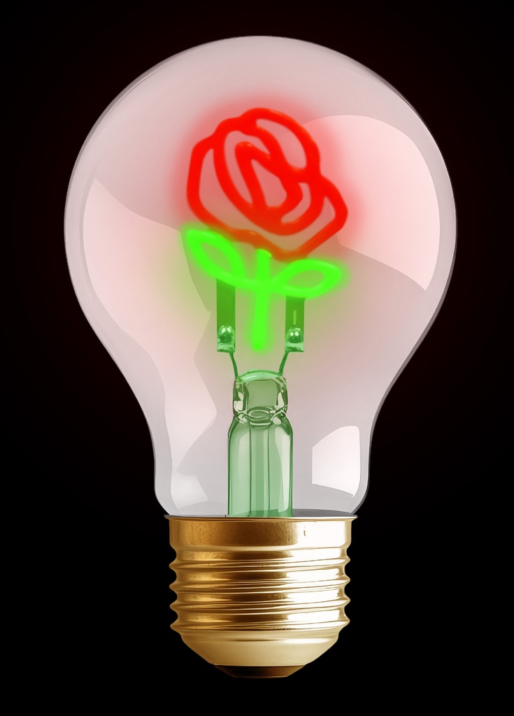 [253034] Synergy 21 LED Deko Bulb A68 Rose, aufladbar